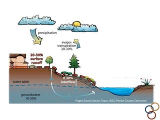 Puget Sound Action Team, WSU Pierce County Extension