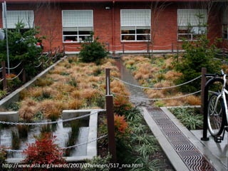 Slide: Chesapeake NEMO