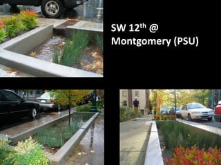 Port Orford, ORPhoto: Frank Burris, OSU