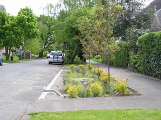 Photo by Tom Liptan, City of Portland Environmental Services