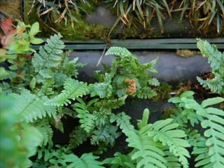 Shorebank Pacific, Ilwaco, WA