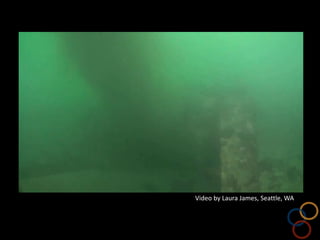 Video by Laura James, Seattle, WA