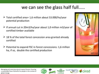Why managing and restoring tropical forests matter
