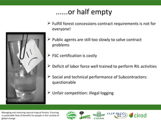 Why managing and restoring tropical forests matter
