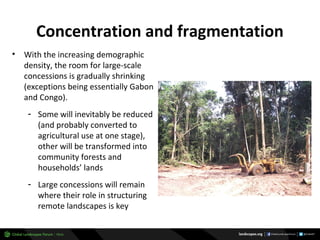 Why managing and restoring tropical forests matter