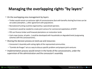 Why managing and restoring tropical forests matter