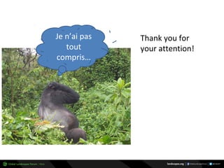 Why managing and restoring tropical forests matter