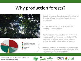 Why managing and restoring tropical forests matter