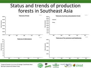 Why managing and restoring tropical forests matter