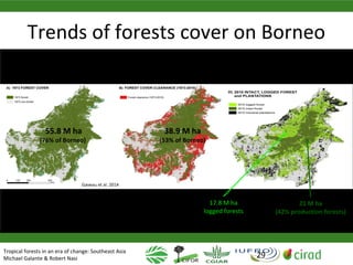 Why managing and restoring tropical forests matter