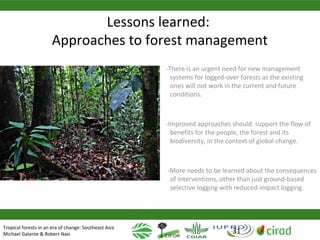 Why managing and restoring tropical forests matter