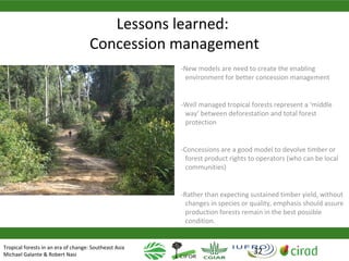 Why managing and restoring tropical forests matter