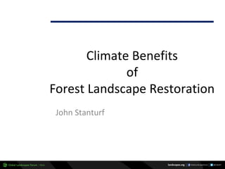 Why managing and restoring tropical forests matter