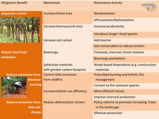 Why managing and restoring tropical forests matter