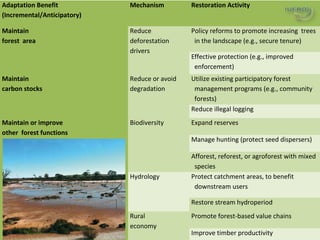Why managing and restoring tropical forests matter