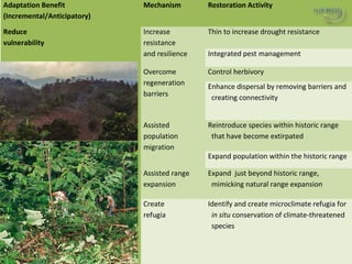 Why managing and restoring tropical forests matter
