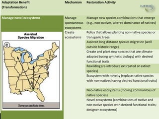 Why managing and restoring tropical forests matter