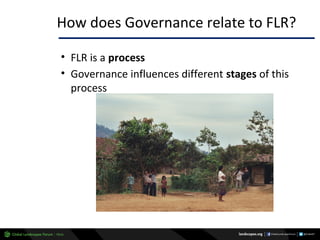 Why managing and restoring tropical forests matter