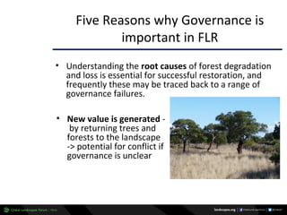 Why managing and restoring tropical forests matter