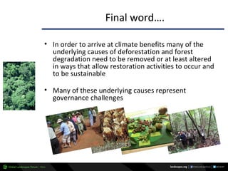 Why managing and restoring tropical forests matter