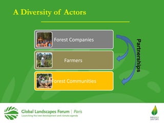 Why managing and restoring tropical forests matter