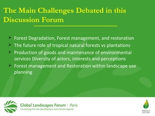 Why managing and restoring tropical forests matter