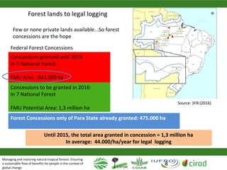 Why managing and restoring tropical forests matter