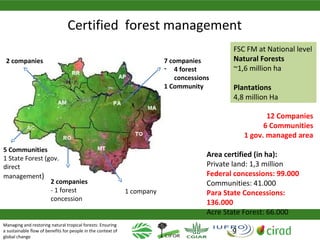 Why managing and restoring tropical forests matter
