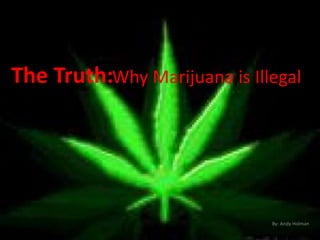 Why Marijuana is Illegal The Truth: By: Andy Holman 