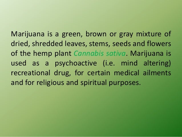 Legalizing marijuana persuasive essay