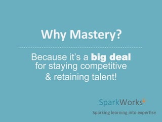 Why Mastery?
Because it’s a big deal
for staying competitive
& retaining talent!

Sparking learning into expertise

 