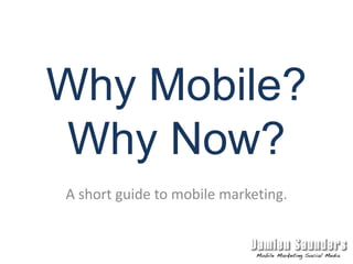 Why Mobile? Why Now? A short guide to mobile marketing. 