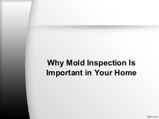 Why Mold Inspection Is
Important in Your Home
 