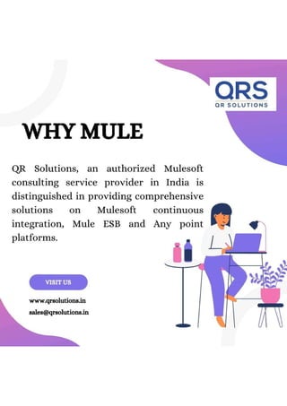 Why Mule.pdf