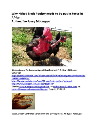 Why Naked Neck Poultry needs to be put in Focus in
Africa.
Author: Ivo Arrey Mbongaya
African Centre for Community and Development P. O. Box 181 Limbe,
Cameroon
https://www.facebook.com/African-Centre-for-Community-and-Development-
103686769685856/
https://www.youtube.com/user/AfricanCentreforCom/featured
https://www.linkedin.com/groups/2998648/
Emails: arreymbongayaivo@gmail.com or oldboyarret@yahoo.com or
ivo@africancentreforcommunity.com Date: 01/09/2018
©2018 African Centre for Community and Development. All Rights Reserved.
 