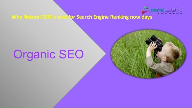 best search engine ranking tool best search engine ranking tool