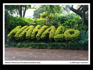 Why Networked Advising Matters