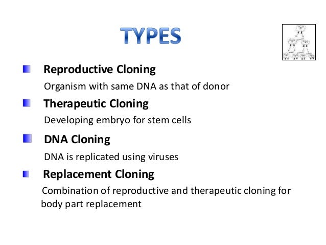 an analysis of human cloning from a human donor Possible therapy of male infertility by reproductive cloning: one cloned human 4 analysis of human and male infertility by reproductive cloning: one. an analysis of human cloning from a human donor Possible therapy of male infertility by reproductive cloning: one cloned human 4 analysis of human and male infertility by reproductive cloning: one.
