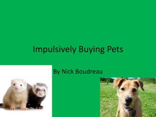 Impulsively Buying Pets

     By Nick Boudreau
 