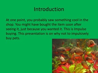 Introduction
At one point, you probably saw something cool in the
shop. You might have bought the item soon after
seeing it, just because you wanted it. This is Impulse
buying. This presentation is on why not to impulsively
buy pets.
 