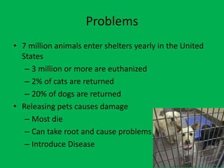Problems
• 7 million animals enter shelters yearly in the United
  States
   – 3 million or more are euthanized
   – 2% of cats are returned
   – 20% of dogs are returned
• Releasing pets causes damage
   – Most die
   – Can take root and cause problems
   – Introduce Disease
 