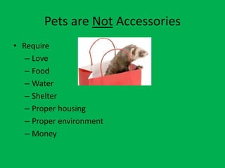 Pets are Not Accessories
• Require
   – Love
   – Food
   – Water
   – Shelter
   – Proper housing
   – Proper environment
   – Money
 