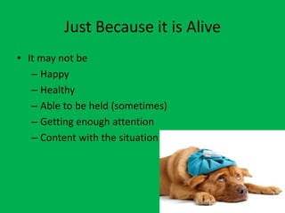Just Because it is Alive
• It may not be
   – Happy
   – Healthy
   – Able to be held (sometimes)
   – Getting enough attention
   – Content with the situation
 