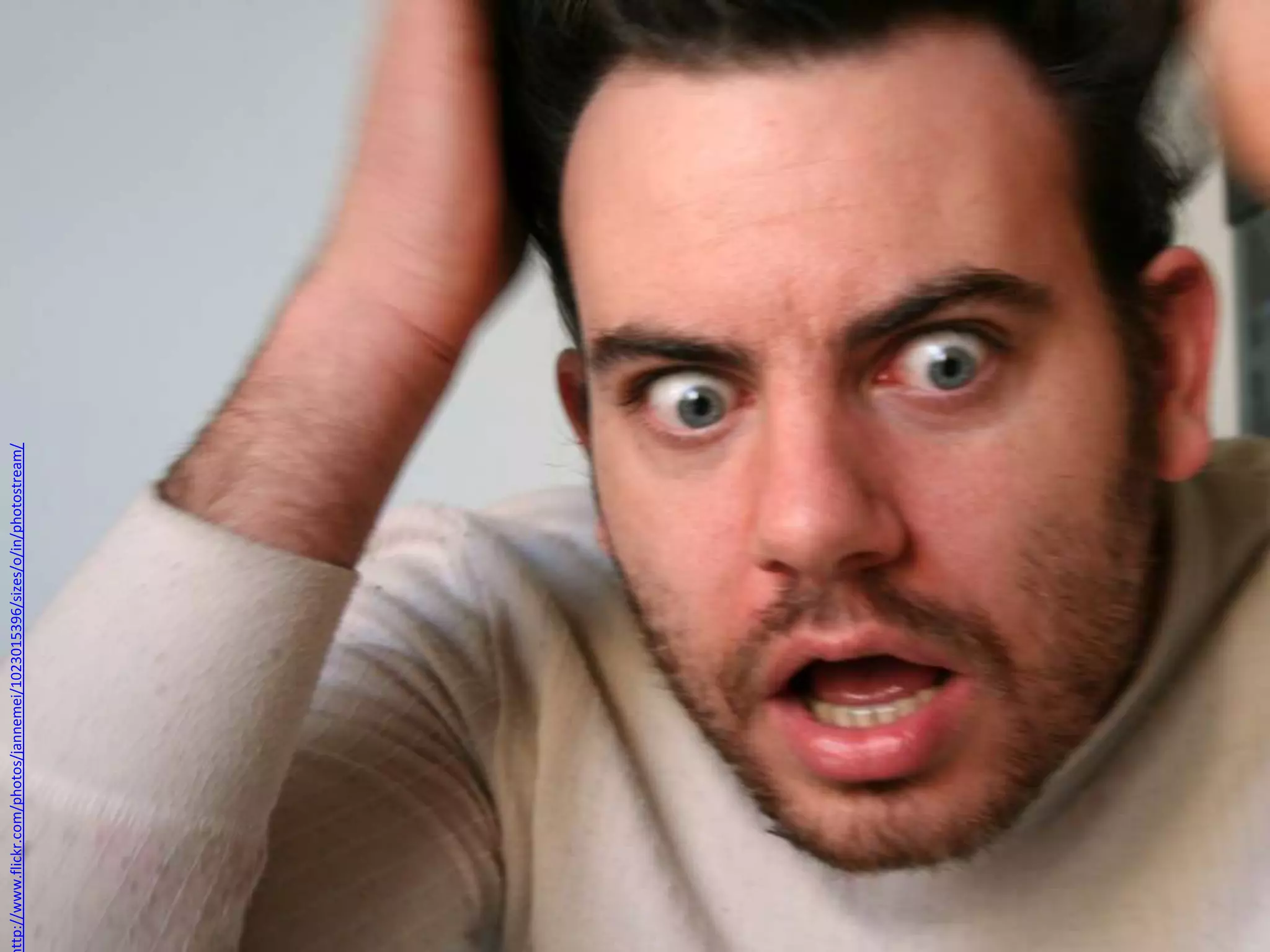 ttp://www.flickr.com/photos/jannemei/1023015396/sizes/o/in/photostream/
 