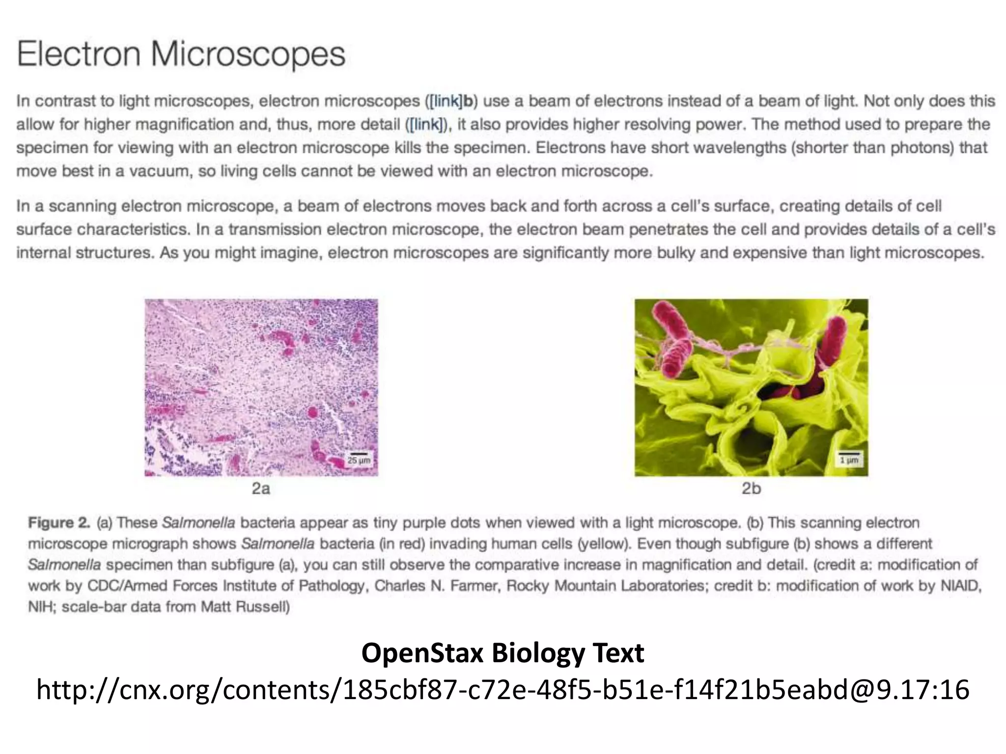 OpenStax Biology Text 
http://cnx.org/contents/185cbf87-c72e-48f5-b51e-f14f21b5eabd@9.17:16 
 
