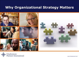 Why Organizational Strategy Matters 