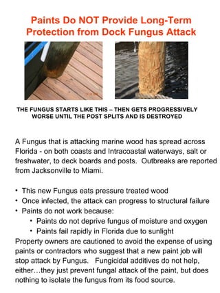Paints Do NOT Provide Long-Term Protection from Dock Fungus Attack THE FUNGUS STARTS LIKE THIS – THEN GETS PROGRESSIVELY WORSE UNTIL THE POST SPLITS AND IS DESTROYED ,[object Object],[object Object],[object Object],[object Object],[object Object],[object Object],[object Object]