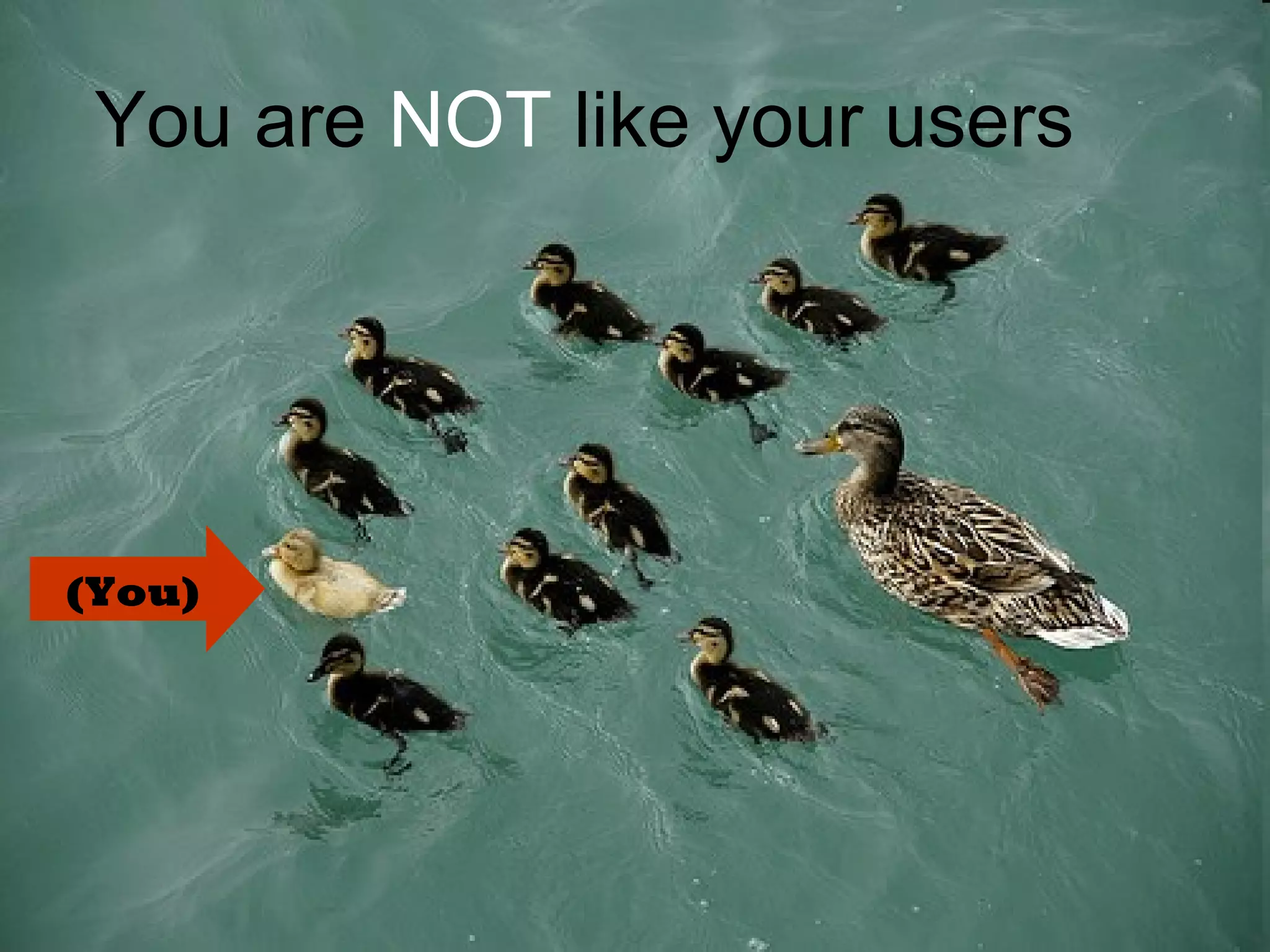 You are NOT like your users
(You)
 