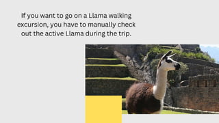 If you want to go on a Llama walking
excursion, you have to manually check
out the active Llama during the trip.
 
