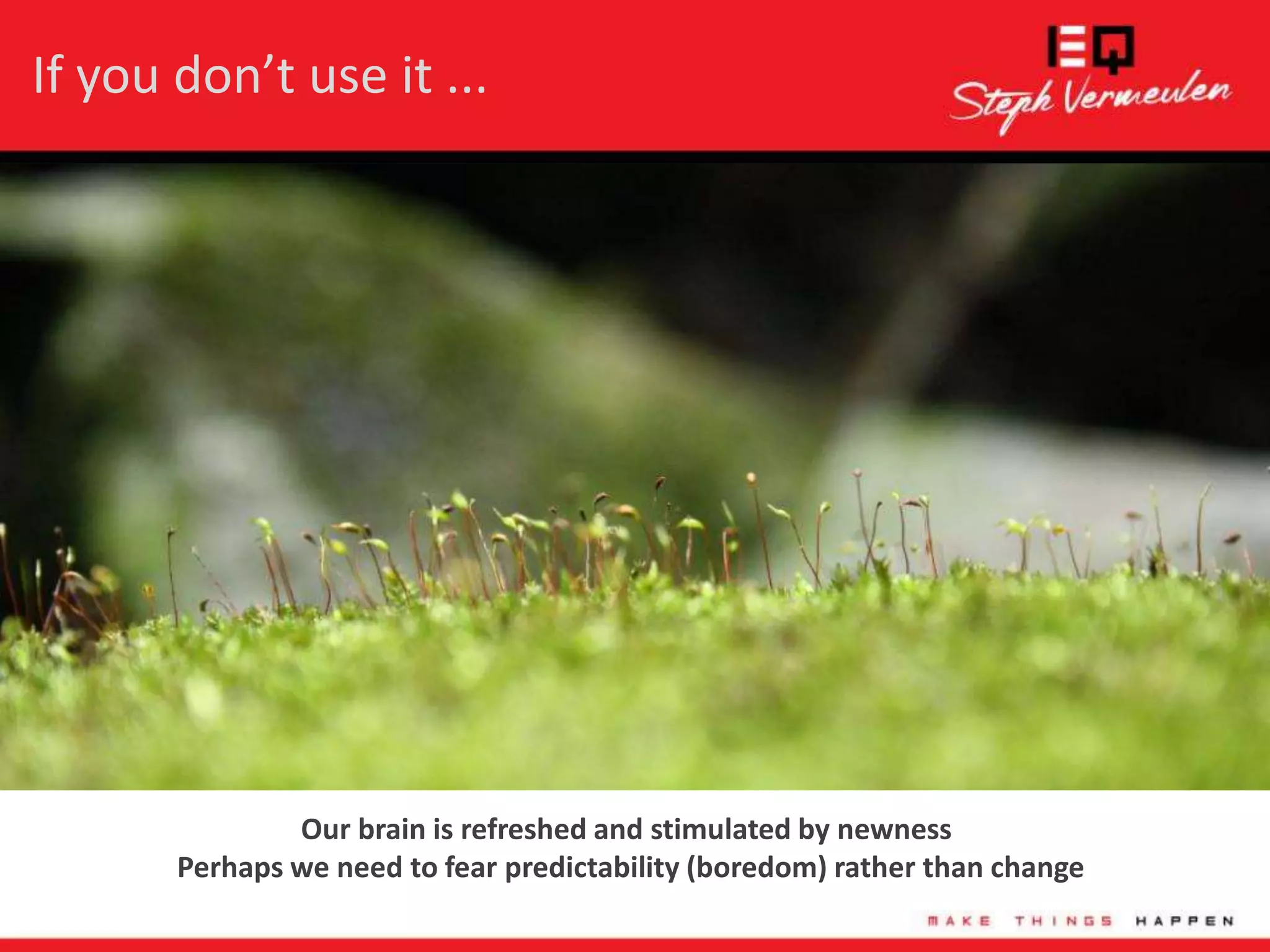 Slide 6